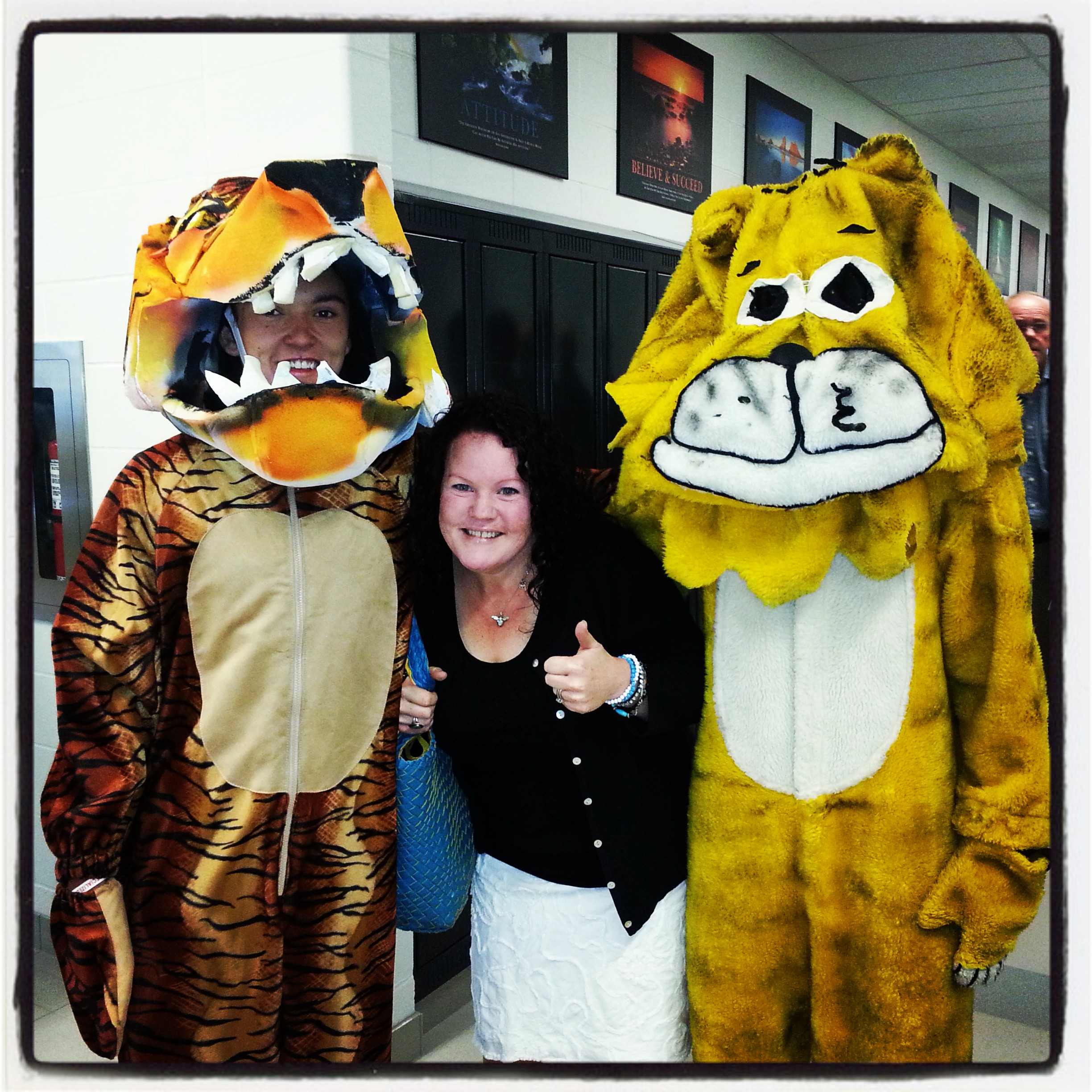 (Click to magnify) New tiger (left), old tiger (right) and Jennifer Crothers in the middle.